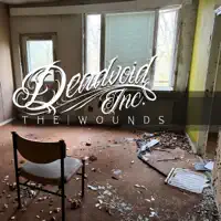 The Wounds — Deadvoid Inc.