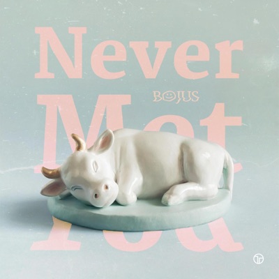 Never Met You - Single