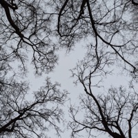 Зима - Single - SPILDBERG