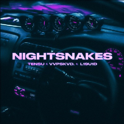 Nightsnakes - Single
