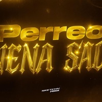 PERREO NENA SAD - Single - Sketchy RMX