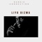 Liyo Bizwa - DANKIE CONNECTION lyrics