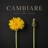 Cambiare