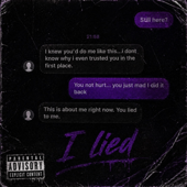 i lied song art