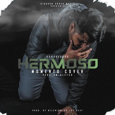 HERMOSO MOMENTO (Special Version) - Single