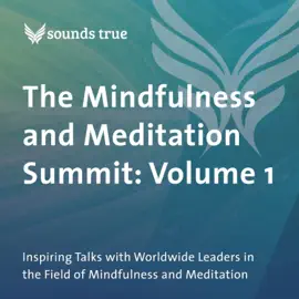 The Mindfulness and Meditation Summit: Volume 1