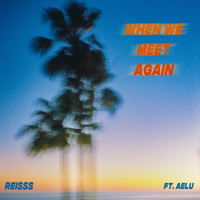 When We Meet Again (feat. AELU) - Single