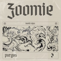 Zoomie - Single - David Rojas