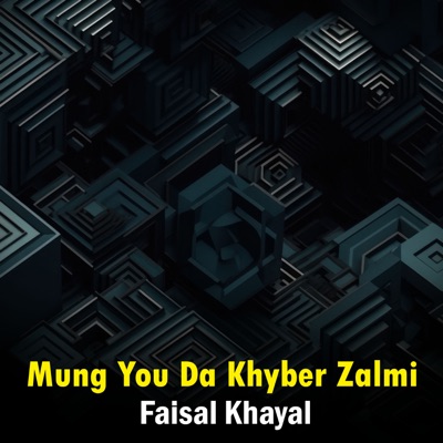 Mung You Da Khyber Zalmi - Single