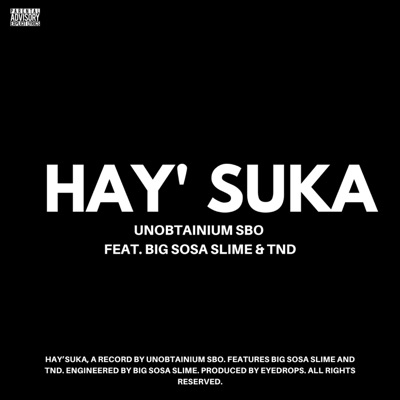 Hay' Suka (feat. Big Sosa Slime & TND) - Single
