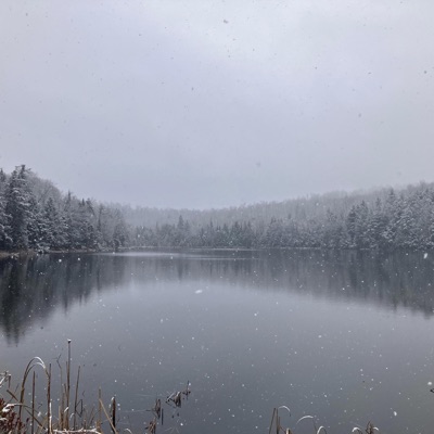 Is true mentalz 7 - EP