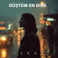 Düştüm En Dibe (feat. Feray) - Single - Anatolia Echo