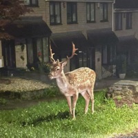 WRATH - Single - ERXN