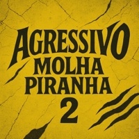 Agressivo Molha Piranha 2 (feat. Mc Lv da Zo & Mc Tilbita) - Single - DJ JEJEDAZS