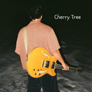 Cherry Tree - Single
