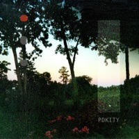 Please Don't Keep It to Yourself - Single - quiet thrill, Dan DeCristofaro & Joel Ansett