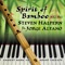 Kyoto Temple (432 Hz) [feat. Jorge Alfano] - Steven Halpern lyrics