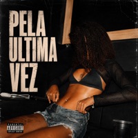 PELA ULTIMA VEZ - Single - Mc Morgana, DJ Postura & Fabuloso