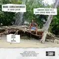 More Consciousness in Dub