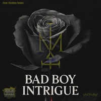 Bad Boy Intrigue (feat. CEEKAY JONES) - Single - Mick Comte