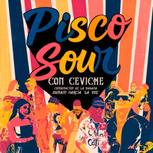 Pisco Sour Con Ceviche - Single
