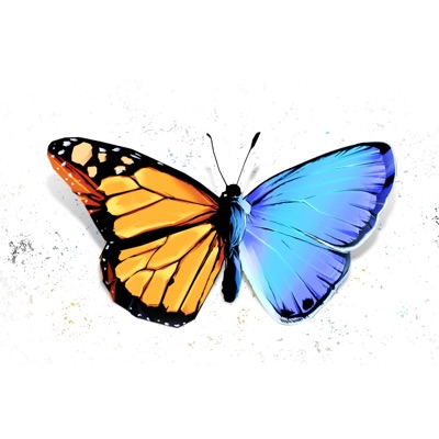 A Monarch's World I - Single