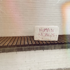 Human Kidneys (feat. kill dylan)