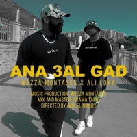 انا على الجد (feat. Ali Loka) - Single - Wezza Montaser
