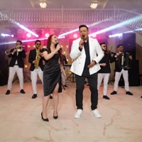 Pitpalaca (feat. Iulian Dumitrache & Camelia Dumitrache) [Live Session] - Single - Iulian Dumitrache Band