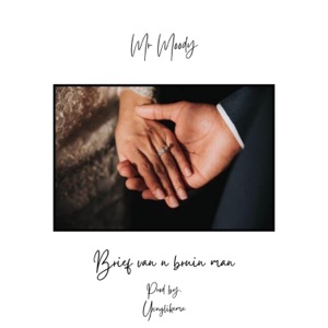 Brief Van N Bruin Man (feat. Mr Moody) - Single