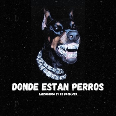 Dónde Están Perros Sandungueo - Single