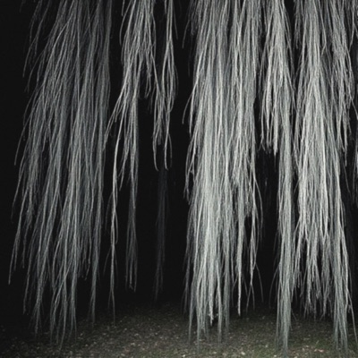 vacant
