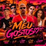 Meu Gostoso (feat. MC Marsha) - Single