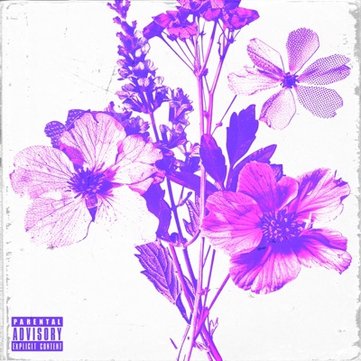 NO ES CIERTO (feat. D4KE & Kellah) - Single