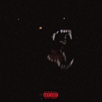 RUFF N TUMBLE vol.1 - Single