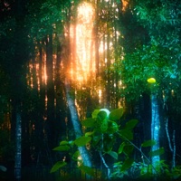 RESPAIR - EP - YAXIS