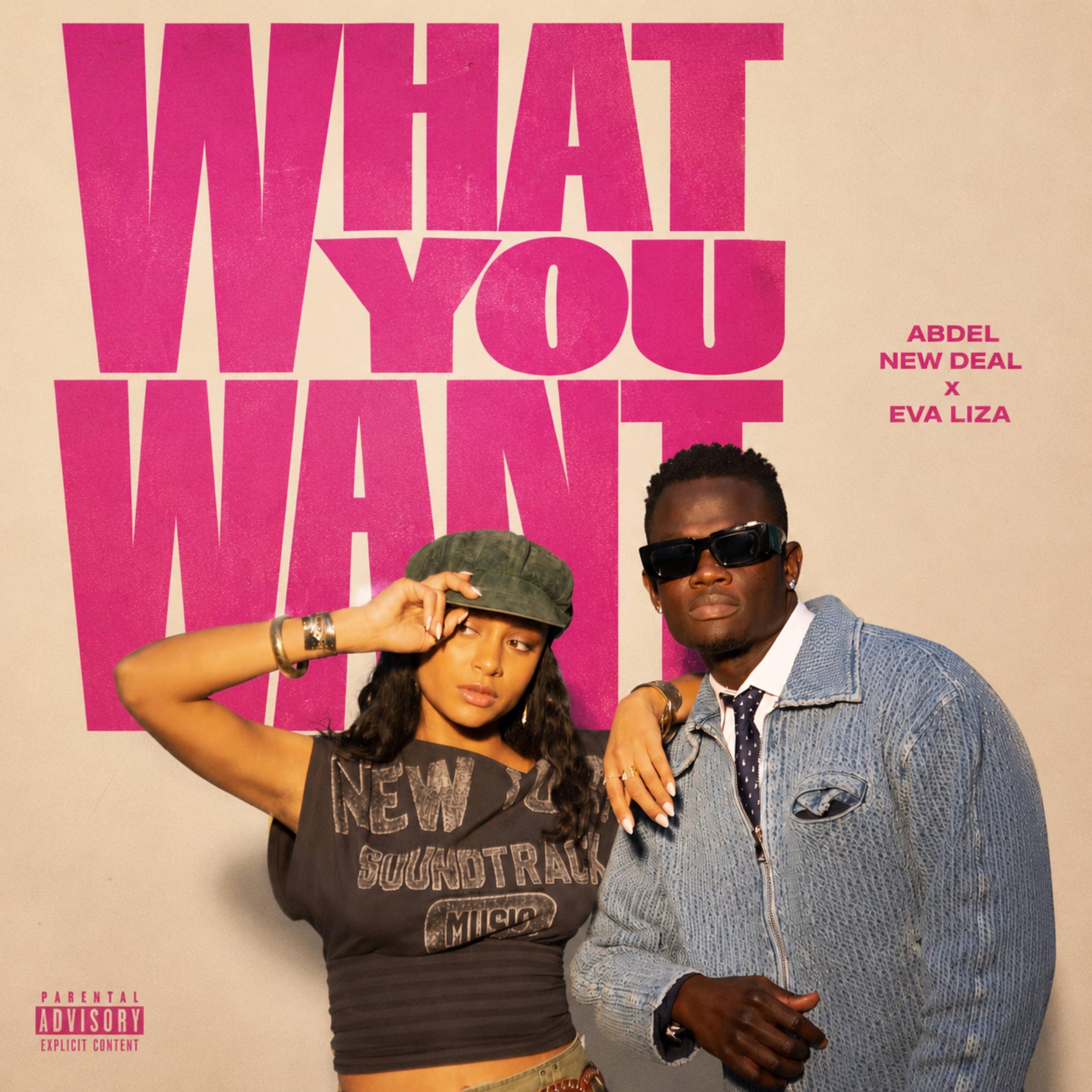 What You Want - Single