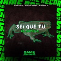 Sei Que Tu Ta Sapeca - Single - DJ SANTTOS VL, MC VTEZIN ORIGINAL & MC Almeida Zs