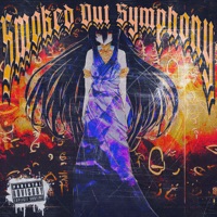 Smoked Out Symphony - Single - MarinXXX