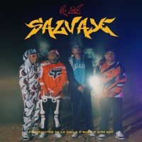 A lo salvaje (feat. Bu#o & Sire Boy) - Single - Los chamaquitos de la calle