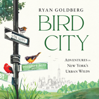 Bird City - Ryan Goldberg Cover Art