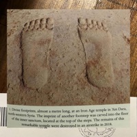 thick ass books - Single - yayu