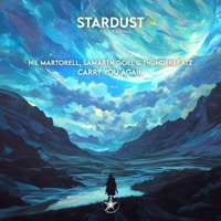 Carry You Again - Single - Nil Martorell, Samarth Goel & Thunderbeatz