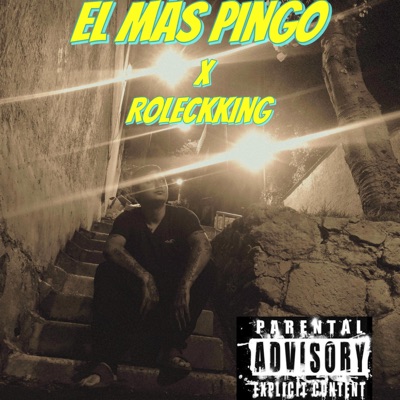 El mas Pingo - Single