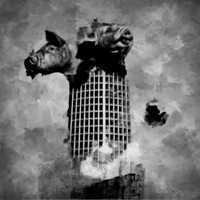 Tocineta - Single - Phortran