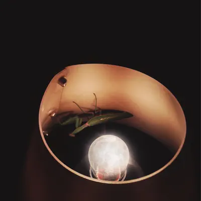 Ascolta 'Moonset - EP' di sviridpavlov