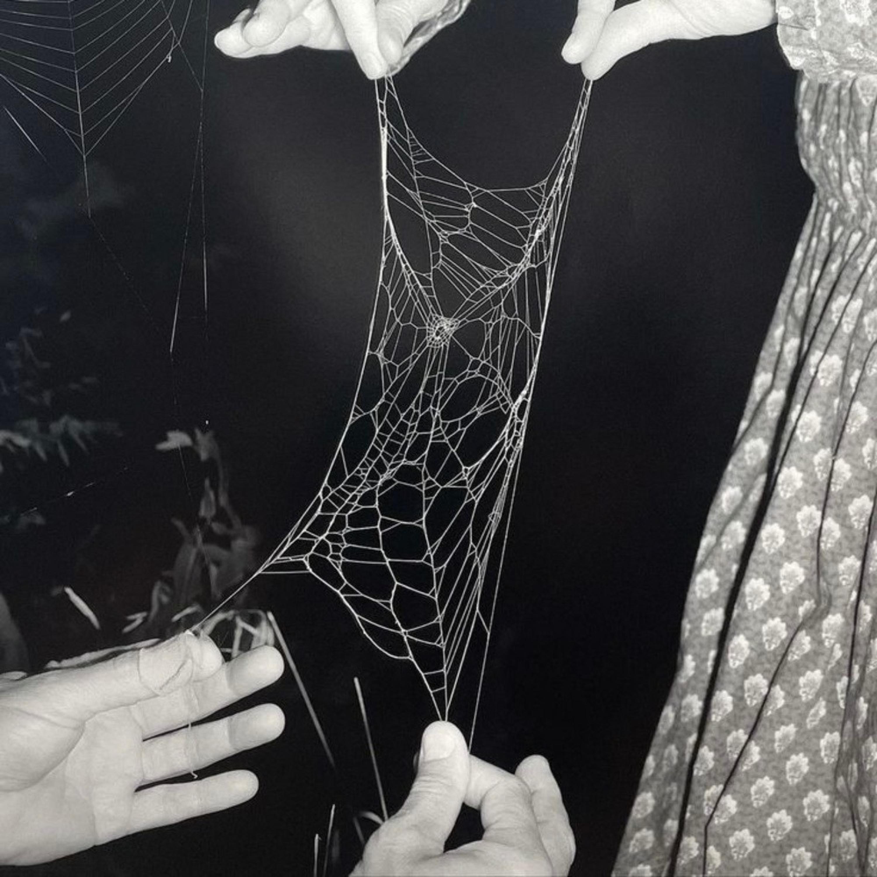 WUTHERING HEIGHTS - Single