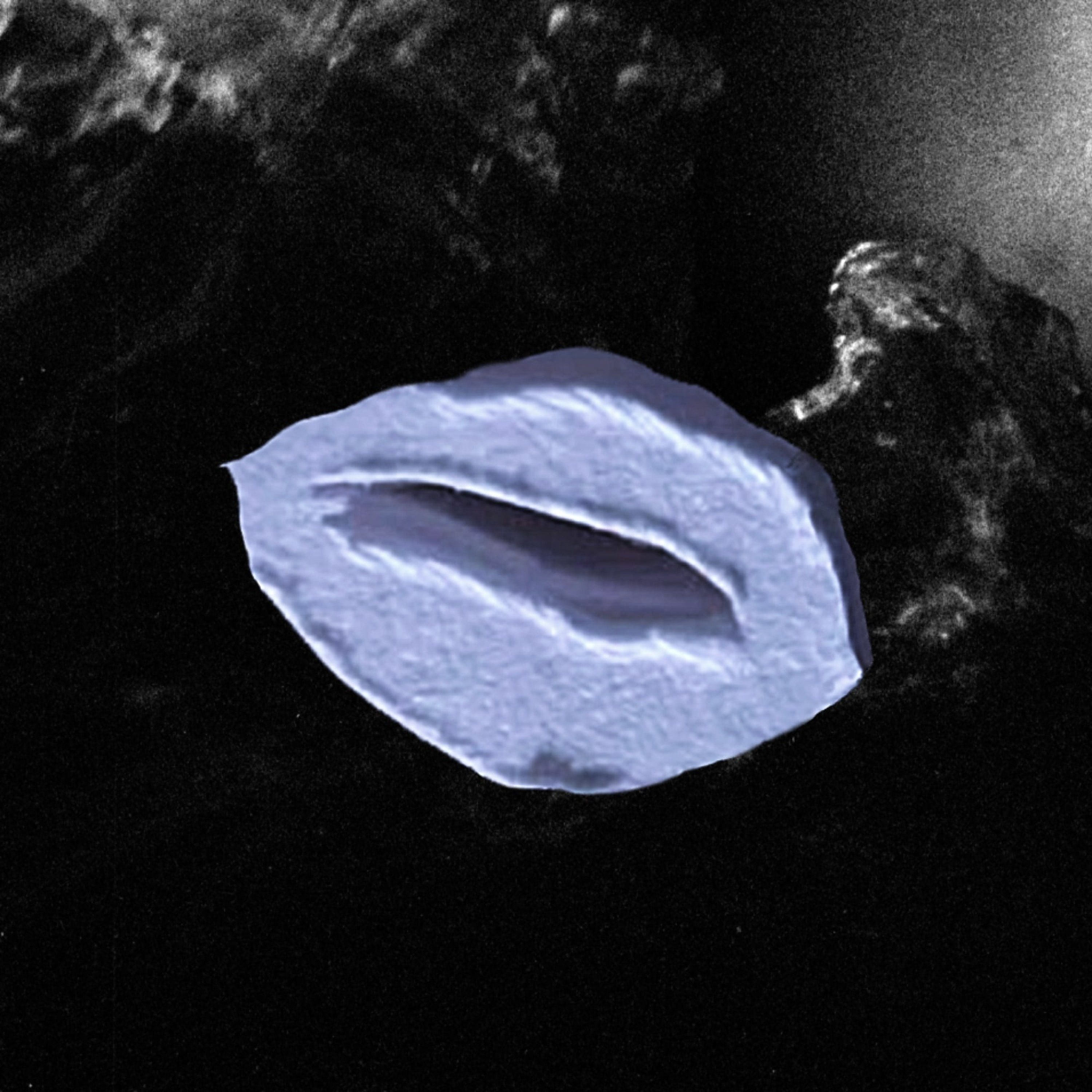 Thirst Trap For Diego - Ski Team