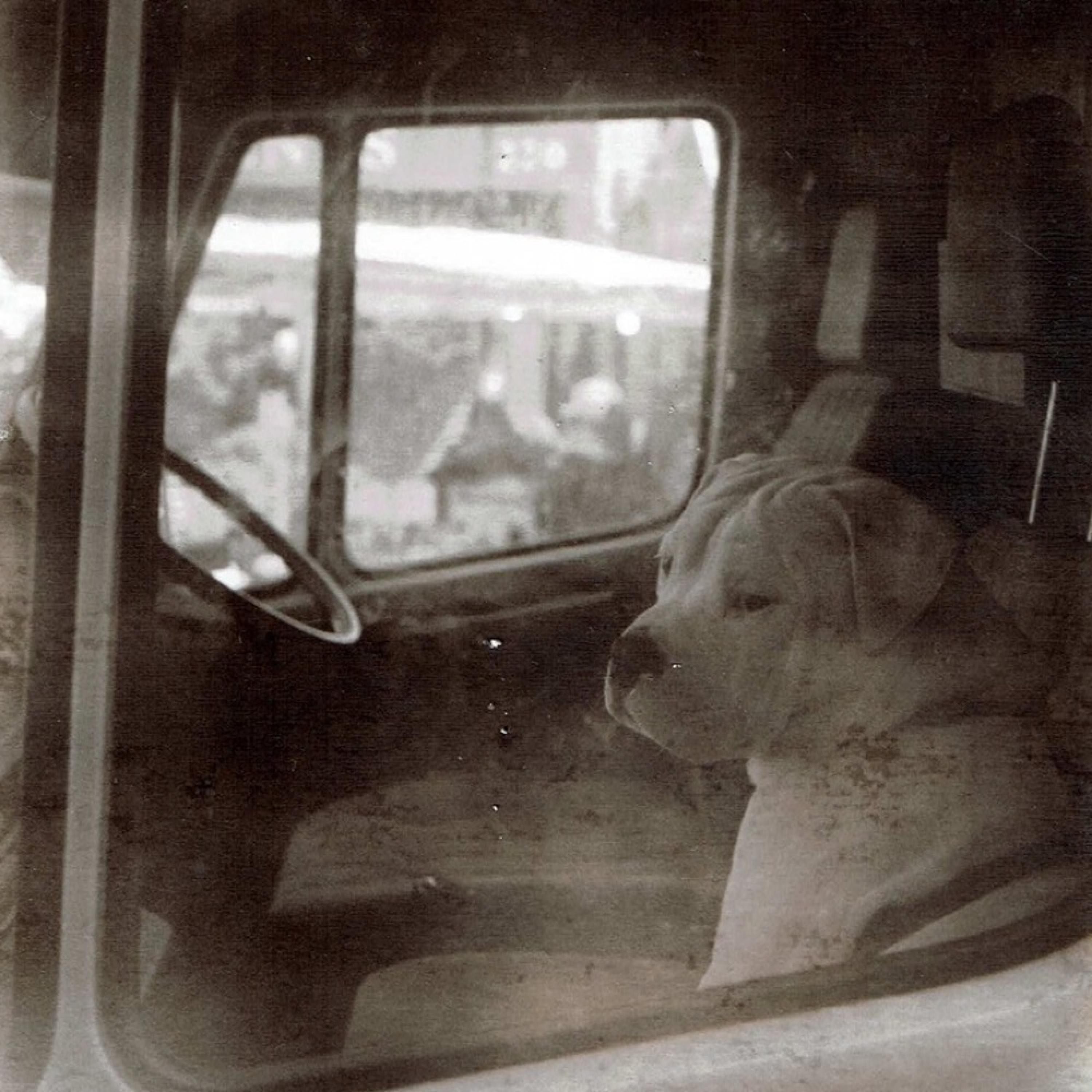 Under the Sun - Single