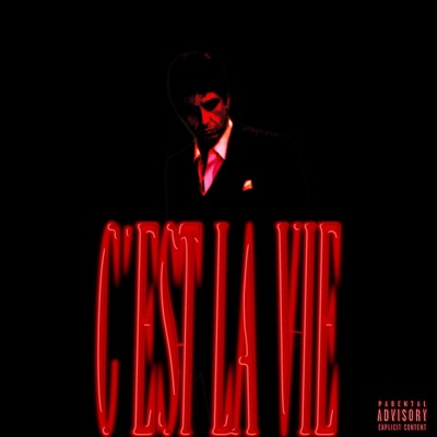 Cest la vie (feat. Igho & BX2) - Single